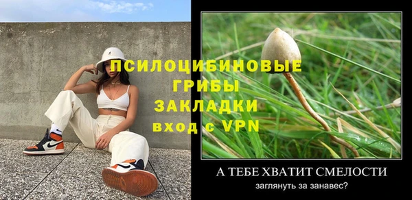 не бодяженный Билибино