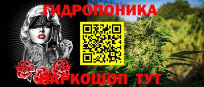 ПСИЛОЦИБИНОВЫЕ ГРИБЫ Балахна