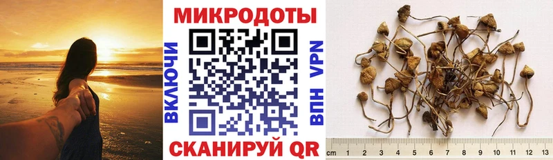 продажа наркотиков  Барабинск  Псилоцибиновые грибы ЛСД 