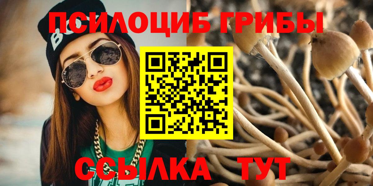 МЕФ Барабинск
